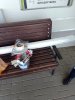 IMG_20220420_095415.jpg