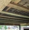 IMG_1953.jpeg