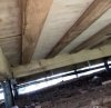 IMG_1954.jpeg