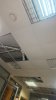 IMG_20260824_081031.jpg