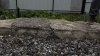 IMG_5061.jpeg
