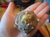 DSCN0790.JPG