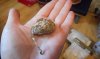 DSCN0792.JPG