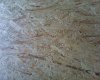 DSC02516.jpg