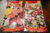 DSCN0919.JPG