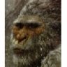 teiyeti